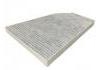 空調濾清器 Cabin Air Filter:1039042-00-B